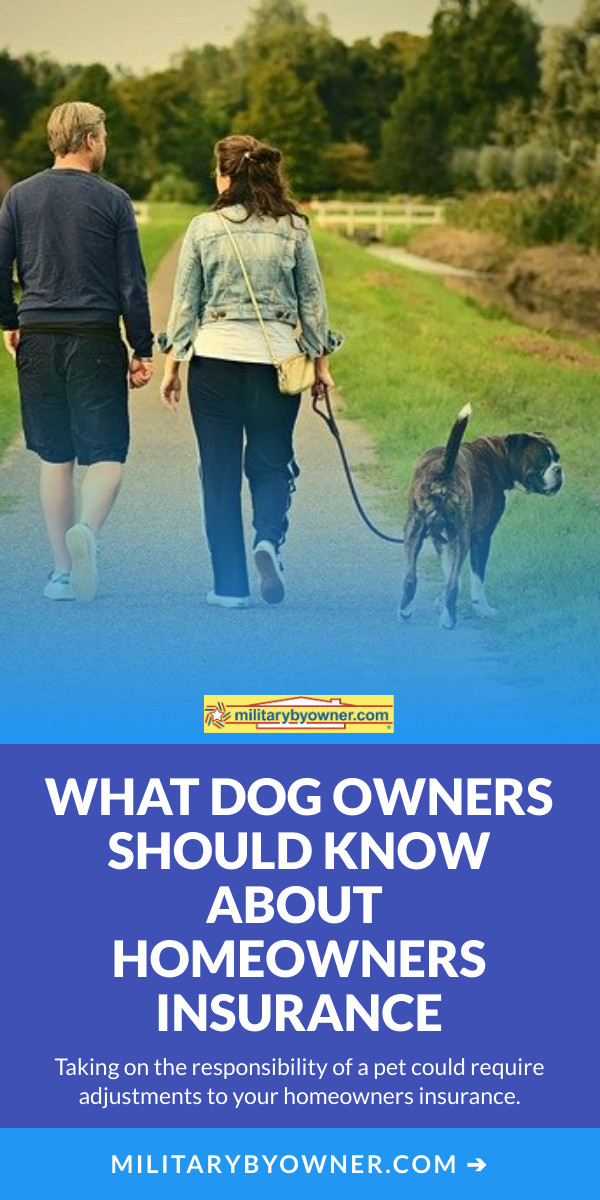 What Dog Owners Should Know About Homeowners Insurance